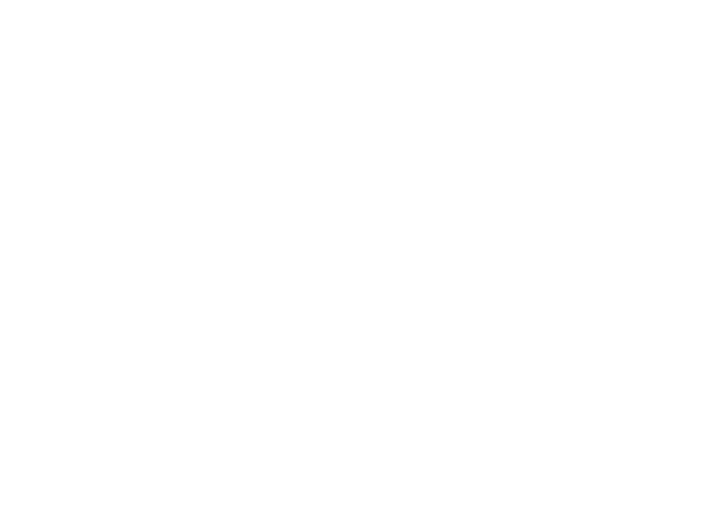 HALL Park Hotel Logo