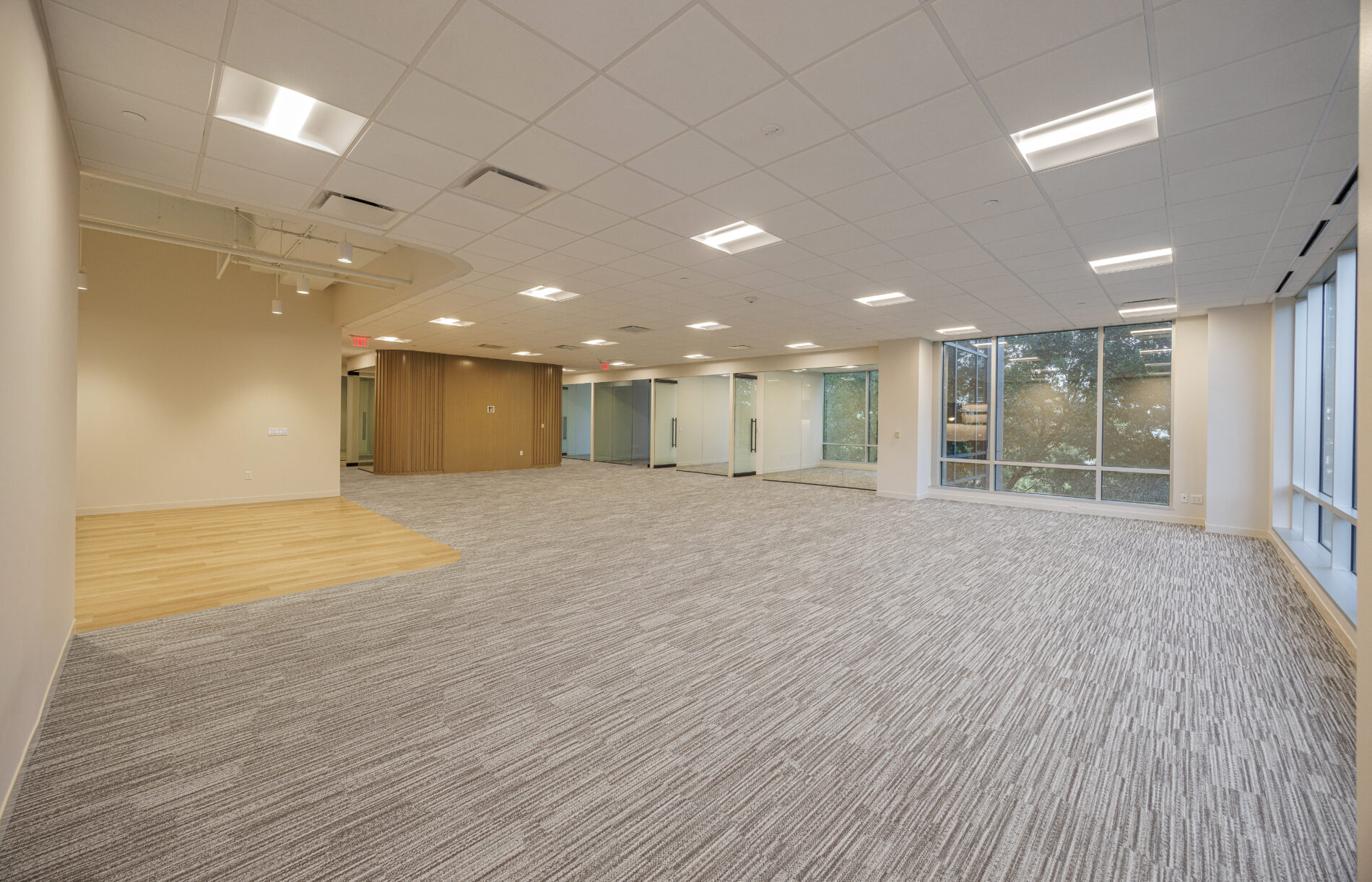 SPEC SUITE 203