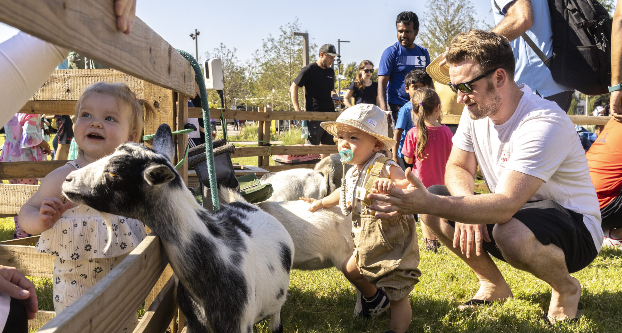 https://hallpark.com/wp-content/uploads/2026/06/Petting-Zoo-scaled.jpg